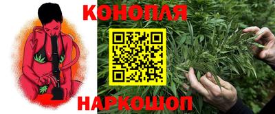мяу мяу мука Севастополь