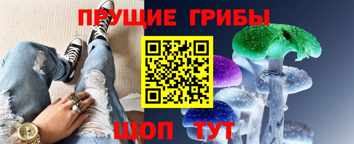 Семилуки  Псилоцибиновые грибы Psilocybe  Вход с VPN  Галлюциногенные грибы прущие грибы 