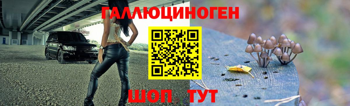 Галлюциногенные грибы Psilocybine cubensis Семилуки